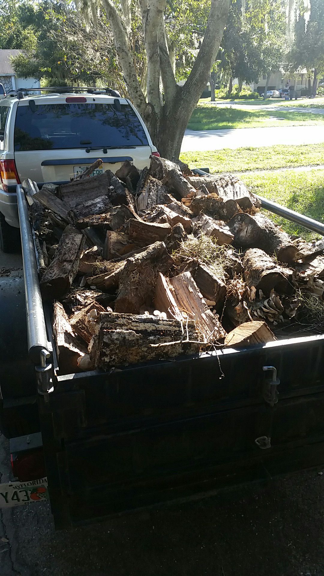 Free OAK Firewood !