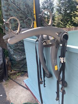 Saris Bones 2bike carrier