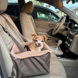 Pet Car Seat - Dog Is Not For Sale 