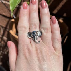 Elephant Ring 