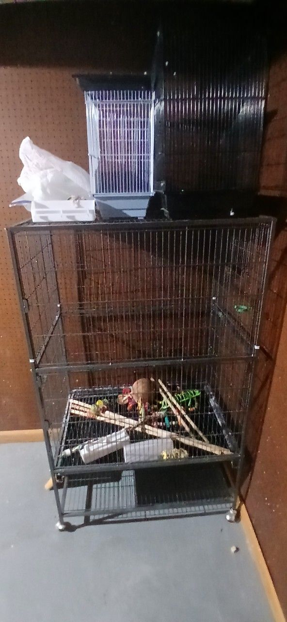 Bird Cage Check Description