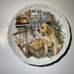 Royal Albert MAN’S BEST FRIEND COLLECTION Plate 1989 Bone China ENGLAND 8”