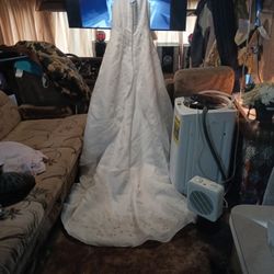 Unused Wedding Dress 