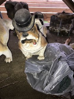Cool Bull-Dog with hat & cigar