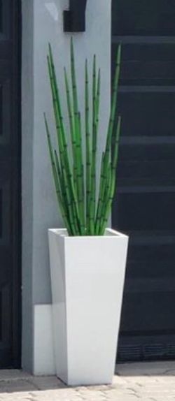 Artificial plant worth 900 each