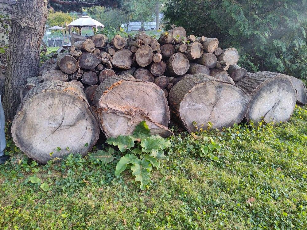 seasoned firewood