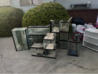 Fish tanks