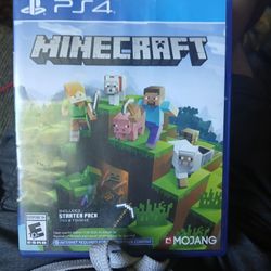 Ps4 Minecraft Game