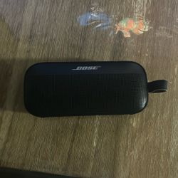 Speaker