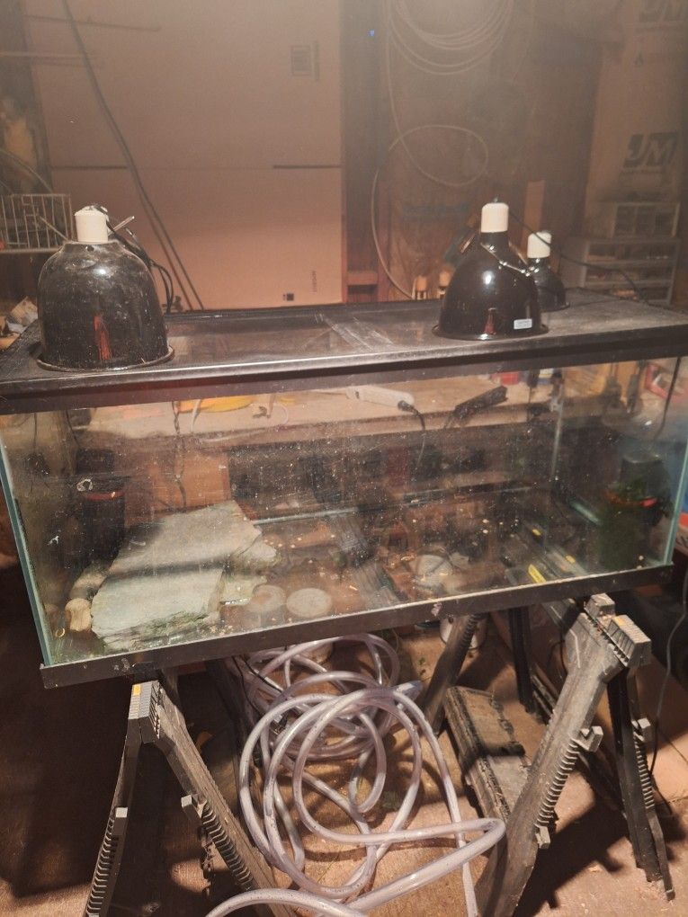 Used Turtle Tank / Accessories 