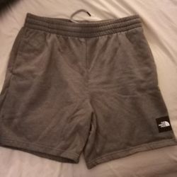 Barely Used The North Face Box NSE Shorts (Men's Large)