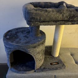 Cat Tree 