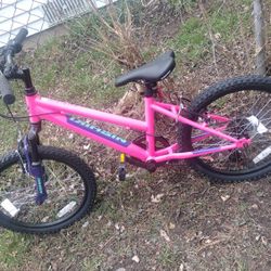 Brand New 20" bike 🚲$90