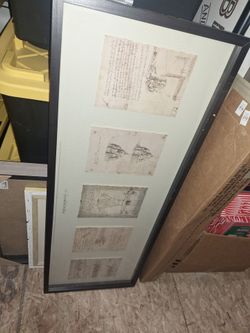 DaVinci drawing cased