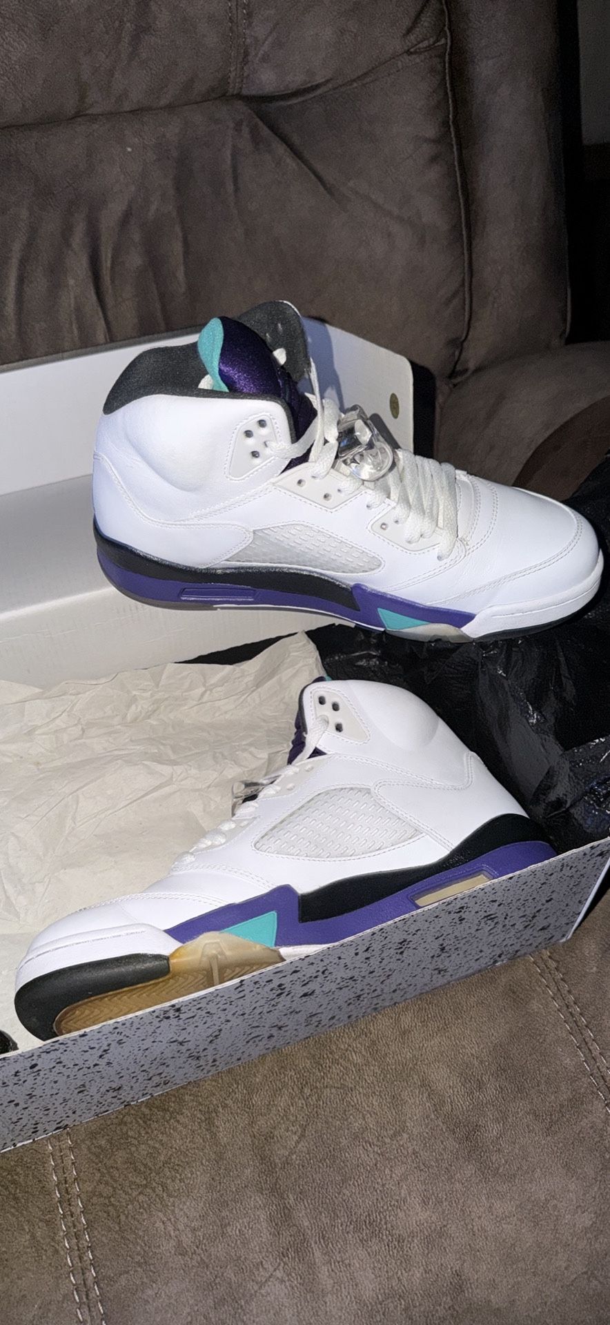 Air Jordan 5 Retro Grape