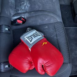 Boxing Gloves Everlast