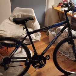 26 In Roadmaster Mountain Bike