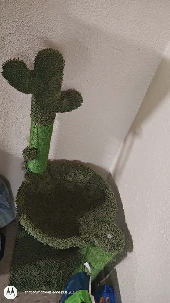 Cat Tree