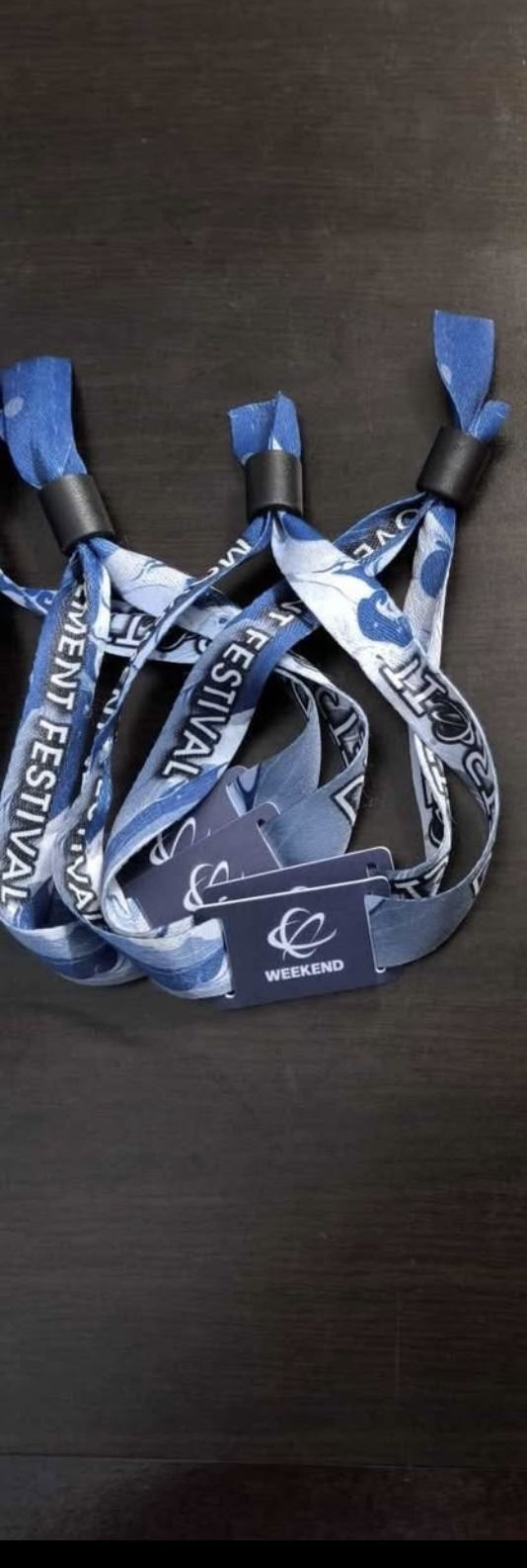 Movement Music Festival 2025 GA MONDAY PORTION!! $175 EACH