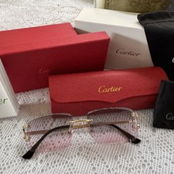 Vintage Cartier Sunglasses 