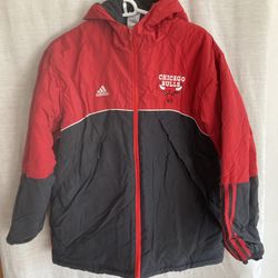 Bulls With Hoody Jacket 