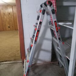 Little Giant Ladder