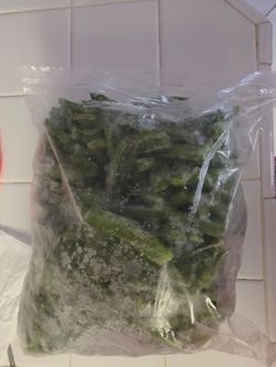 Free bag of cactus