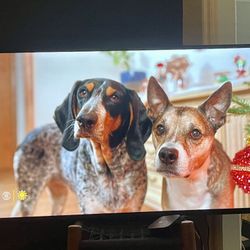 55 Inch insignia fire Tv. 