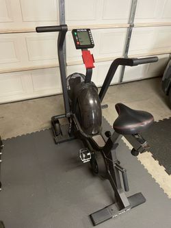 Rogue Echo Bike V2