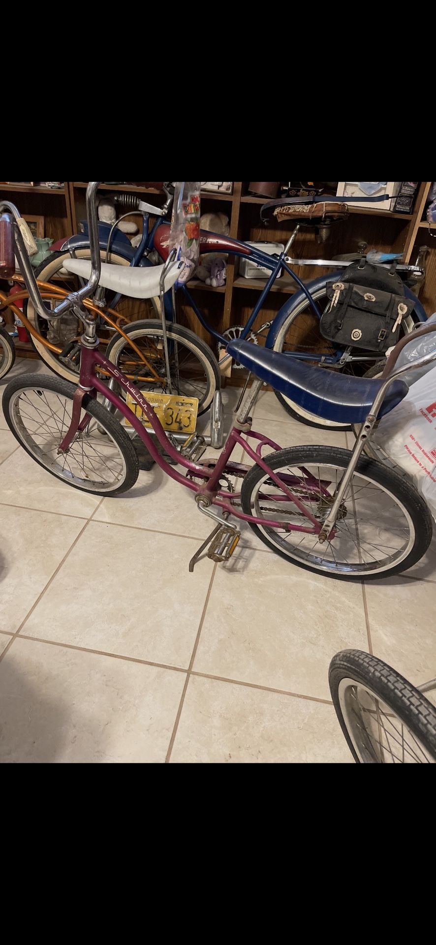 The Purple Shwinn Bike (Girls)