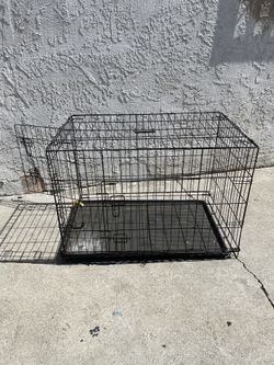 Dog Kennel