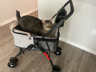 Pet Stroller for Cats or Small Dogs -very good condition