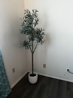 Tall Faux Olive Tree in White Pot