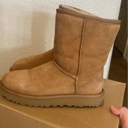 chessnut uggs