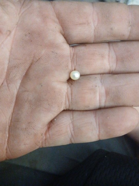 100 Percent Real Natural Pearl