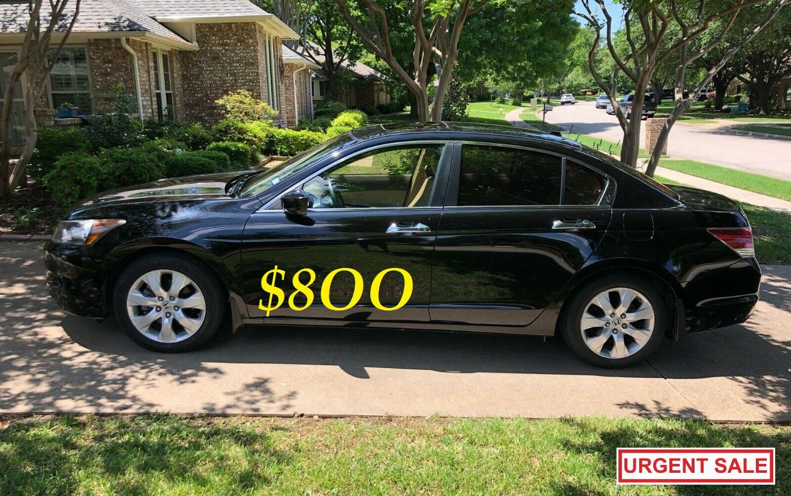 ๐๐$8OO URGENTLY I sell my family car 2OO9 Honda Accord EX-L Everything is working great! Runs great and fun to drive.๐๐
