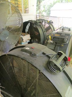 Fans