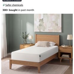 Zinus Memory Foam 10 Inch Green Tea Mattress