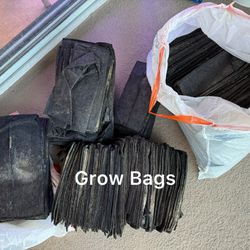 Grow Bags
