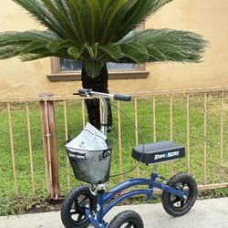 Knee Walker All Terrain New 🆕 