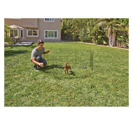 Dog Wire Fence