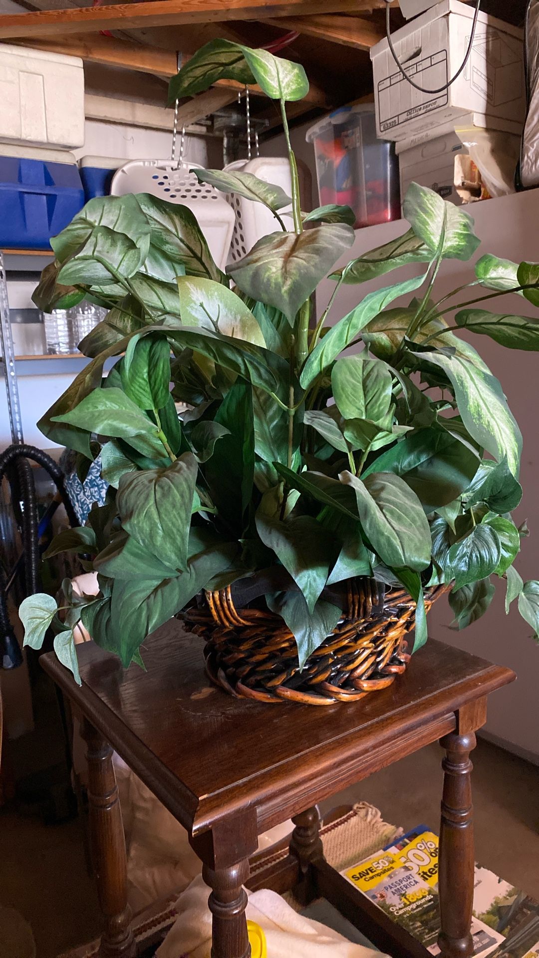 Greenery In A Basket 