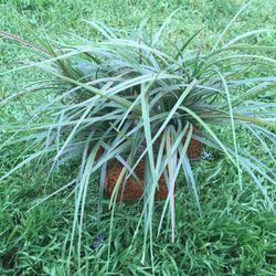 Leaves artificial arraingment with metal base