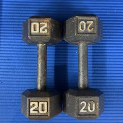 20lbs Dumbbell Pair