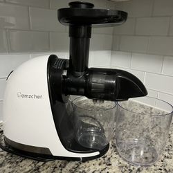 Slow Masticating Juicer Machine