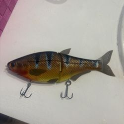 Cichlid Custom Glide Bait