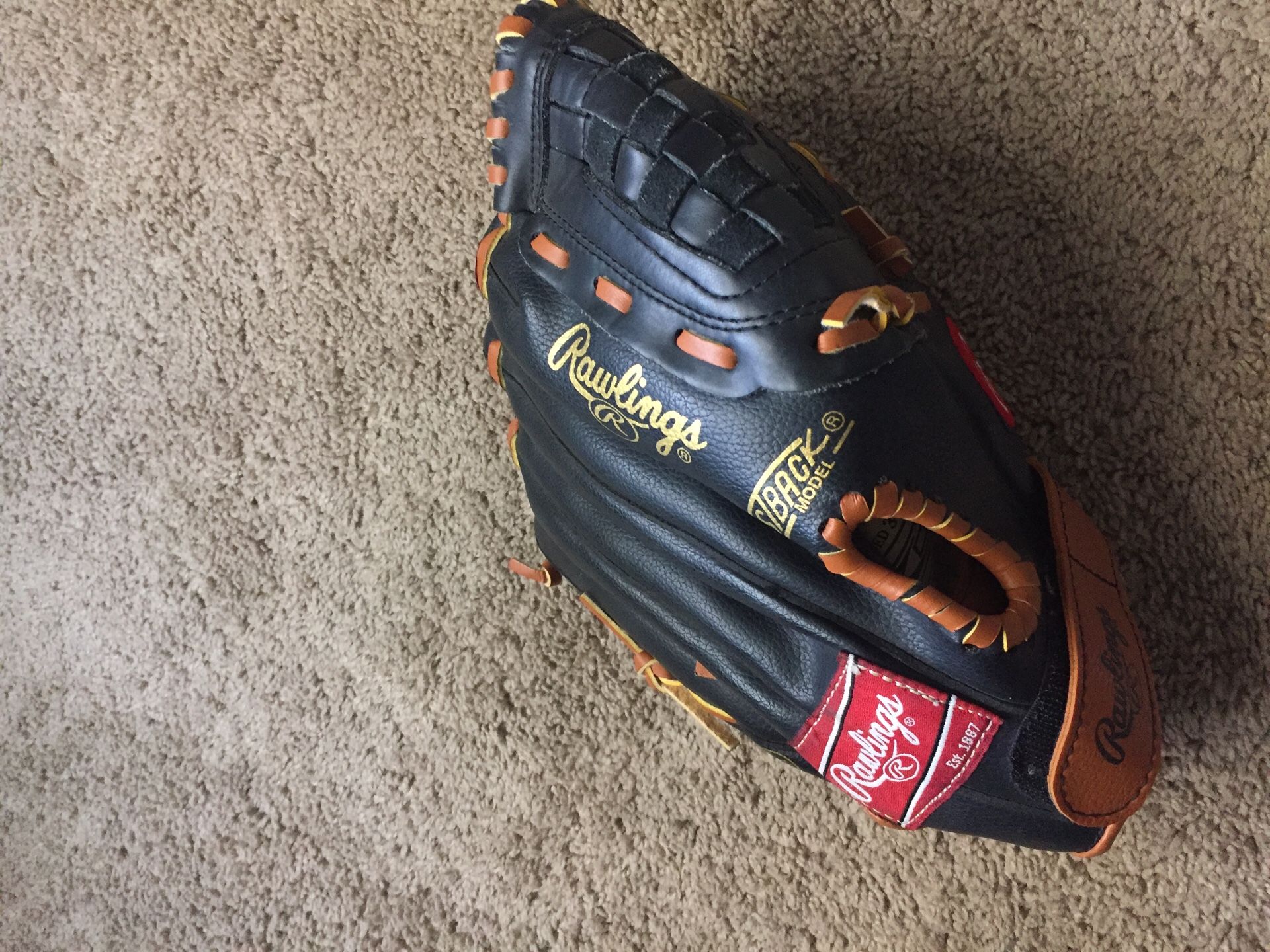 Rawlings baseball mitt