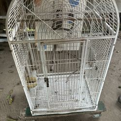 Bird Cage