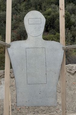Self Healing Targets
