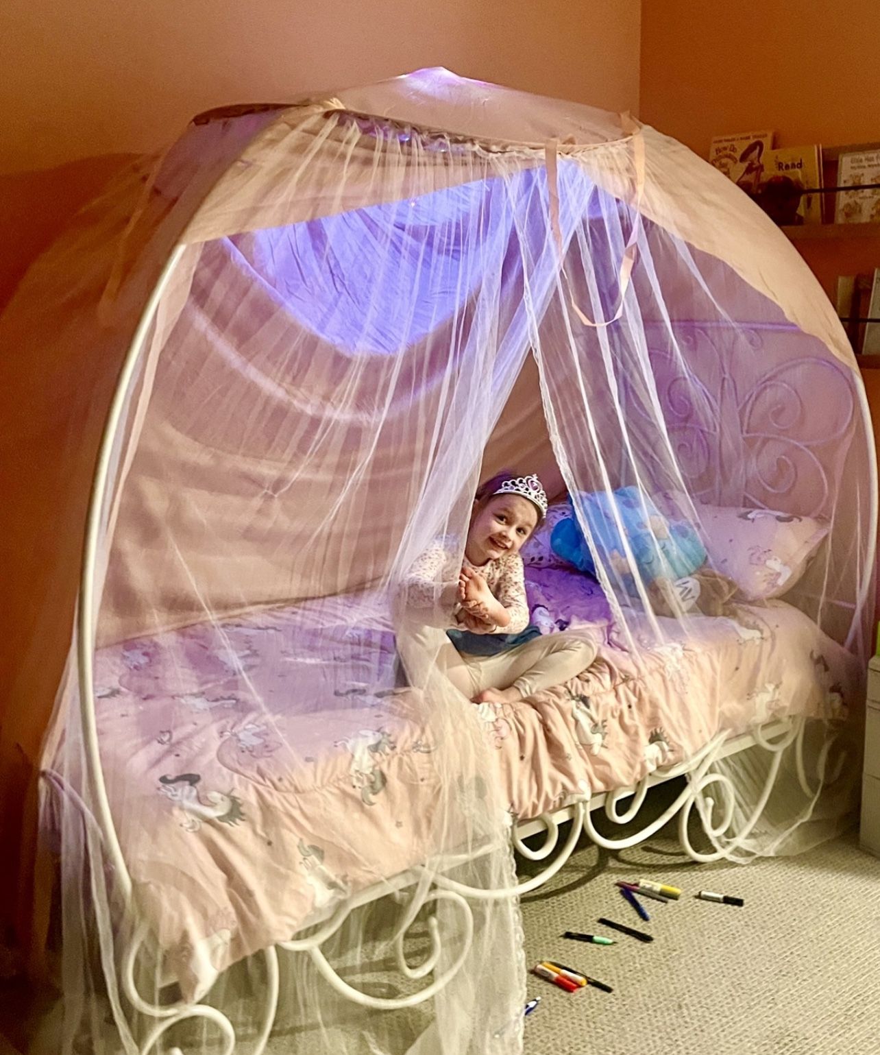 Wayfair Saundra Canopy Girls Twin Bed 